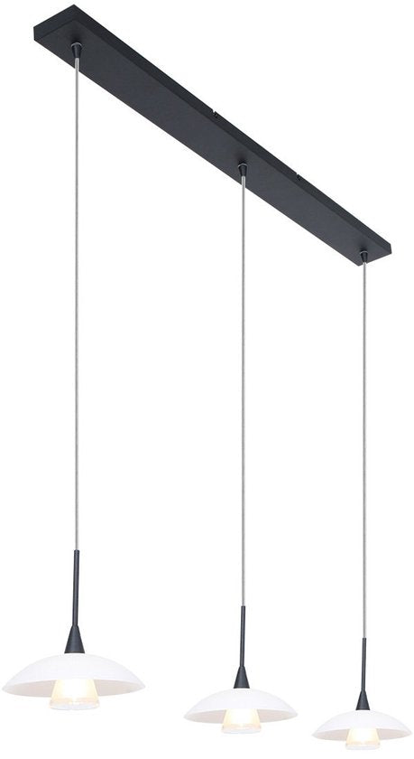 Hanglamp Tallerken 2654ZW Zwart - Modern, Hoogte Verstelbaar, Materiaal: Glas en Metaal, Binnen, Steinhauer