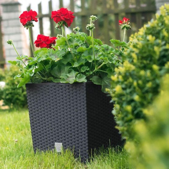 Prosperplast Bloempot/plantenpot Rato - rotan look - met binnenpot - antraciet - 32 x 32 x 33 cm - kunststof