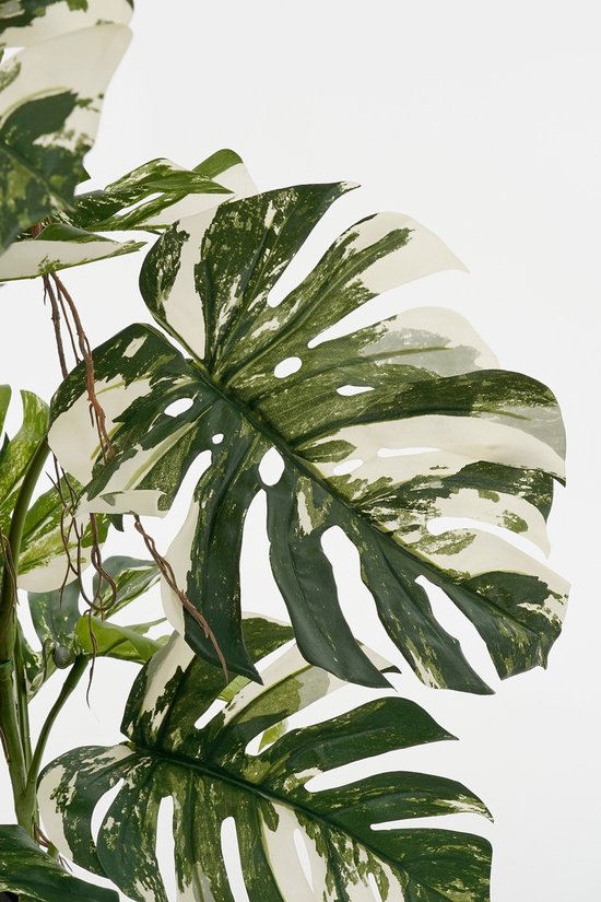 Mica Decorations Monsteraboom Kunstplant - H140 x Ø120 cm - Groen
