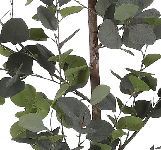 Mica Decorations Eucalyptus Kunstplant in Bloempot - H150 x Ø30 cm - Groen