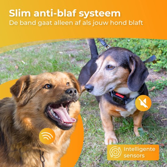 Nuvance Anti Blafband Digitaal - Anti Blaf Apparaat zonder Schok - Oplaadbaar - Blafband voor Honden & Puppy's - 6 Standen