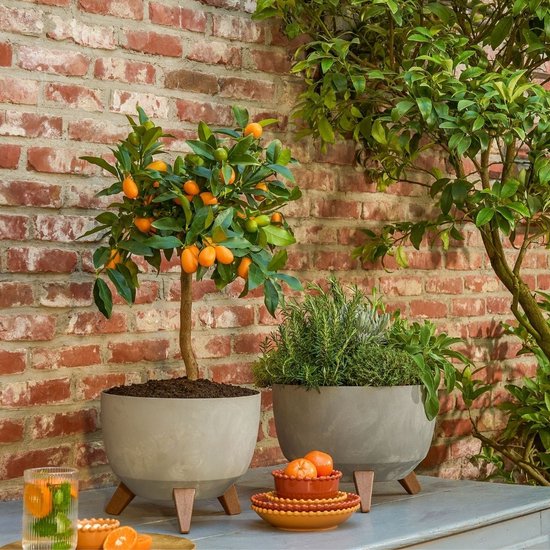 Mica Decorations Doppio Plantenbak op Poten - 18,5 x Ø29 cm - Plantenbakken voor Buiten - Bloembakken voor Balkon - Gerecycled Plastic - Grijs