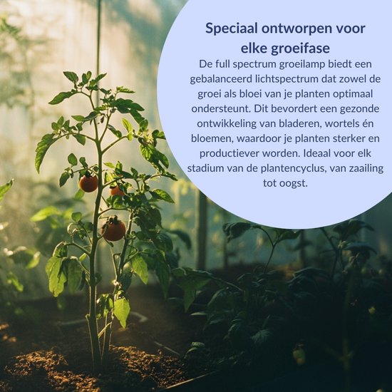 a sunny day LED groeilamp - kweeklamp - full spectrum - groei & bloei - grow light - groeilamp full spectrum - 45 Watt - 30 x 30 cm - 225 LEDs