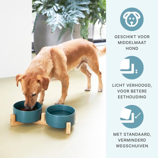 Voerbak Hond - Drinkbak - Met Bamboe Standaard - 2x 800 ml - Maat M - Groen Mat