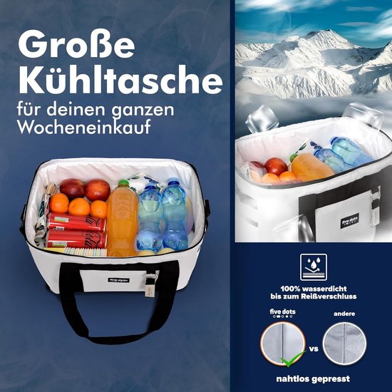 Five Dots Opvouwbare Koeltas - 30L - 26 x 41 x 31 cm - Grijs
