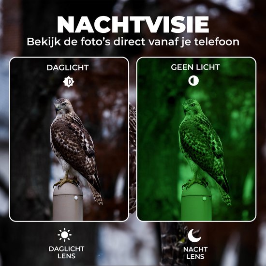 Denver Wildcamera met Nachtzicht en WiFi - 4K Ultra HD - 48MP - WiFi - TrailCam GO app - LCD Scherm - Waterdicht - WCT8026
