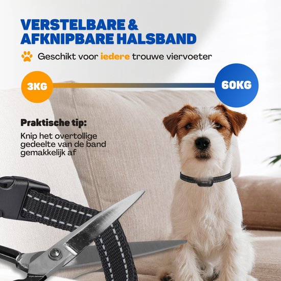 Vulpes Goods® Pets Anti Blafband Max – 3-in-1 Trainingshalsband Zonder Schok – Oplaadbaar – Vibratie & Audio