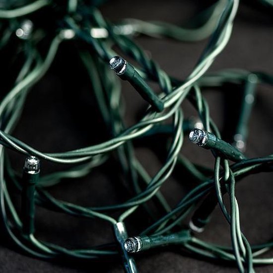 DecorativeLIghting Buxus Netverlichting - 100 LED's - warm wit