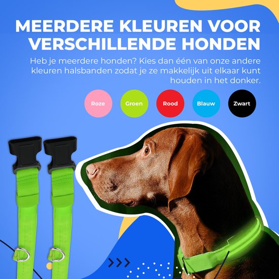Dutchwide Lichtgevende Halsband Hond - Extra Sterk - L 41 cm tot 52 cm - Hondenhalsband - Klikhalsband - Verstelbaar - Reflecterend