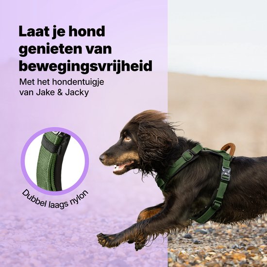 Jake and Jacky Hondentuigje Kleine Hond - Anti-Trek Tuig - Kattentuigje - Y Tuig Hond - Hondenharnas Kleine Hondjes - Kattenharnas - Groen - Maat XS