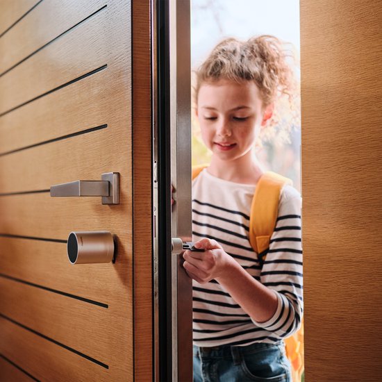 Netatmo Elektrisch deurslot - Slimme Sleutel - 1 sleutel - NFC-sleutel - Silver