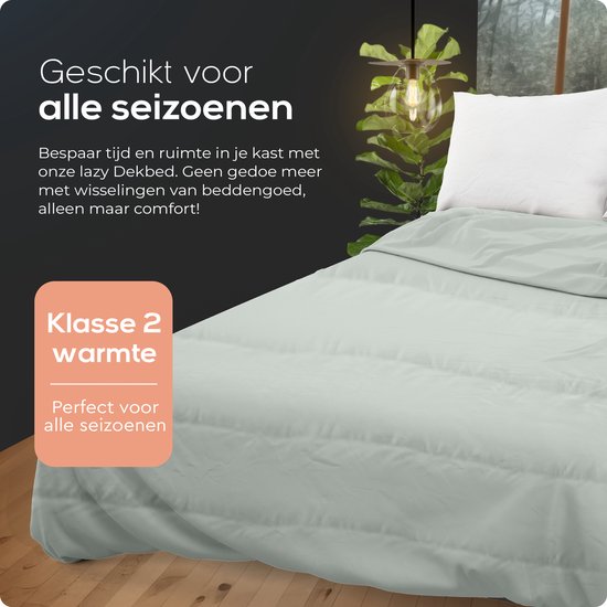 Sleeptime 2 in 1 Dekbed - Dekbed zonder Overtrek - 240x200 - Grijs