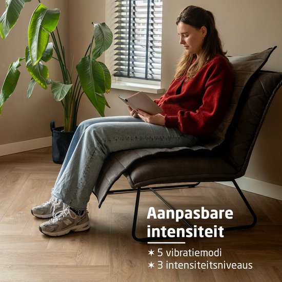 BREND Elektrische Massagemat & Kussen – Massagematras met Warmte - 5 Vibratiestanden & 3 Intensiteiten – 170X55 CM – Grijs - BR-2230