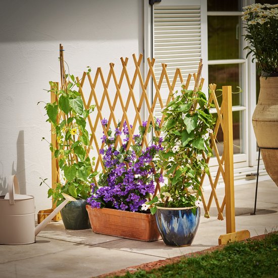 Gardebruk Klimop Hek – Uitvouwbaar tot 200cm - 180x107cm Bruin