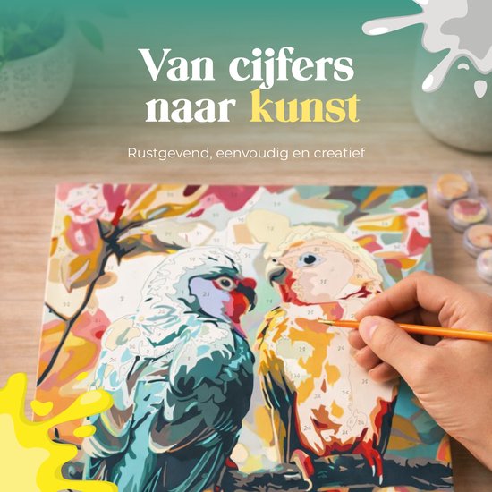 Rubye® Schilderen op Nummer - Papegaaien voor volwassenen en kinderen - 40x50cm