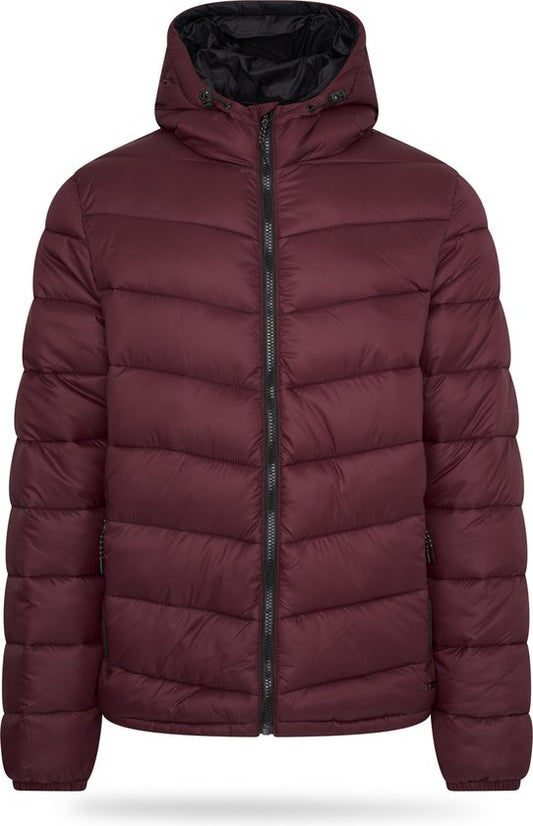 Pierre Cardin - Heren Jas winter Padded Jacket - Rood - Maat XXL