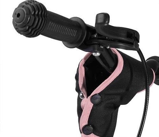 Rennmeister Loopfiets – in Hoogte Verstelbaar – 3-5 Jaar Roze