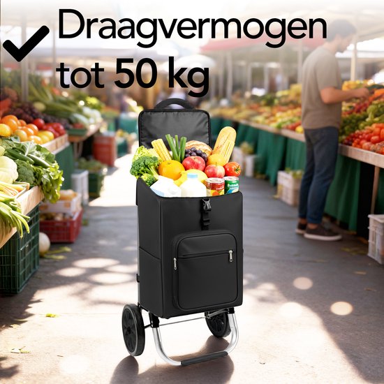 Brixy Boodschappentrolley - Opvouwbaar - Met Wielen - Afneembare Boodschappentas - Boodschappenwagen - Zwart