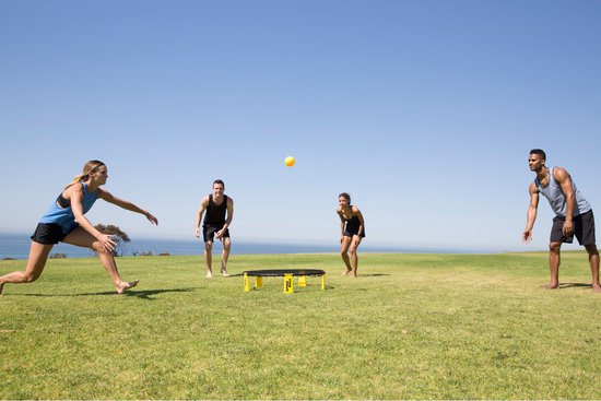 Spikeball Standaard set