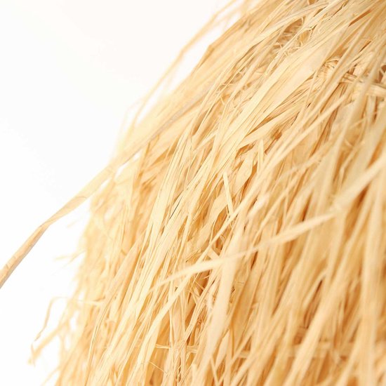 Anne Lighting - hanglamp - Grass - naturel - gras - Ø 53cm - E27 - 3819BE
