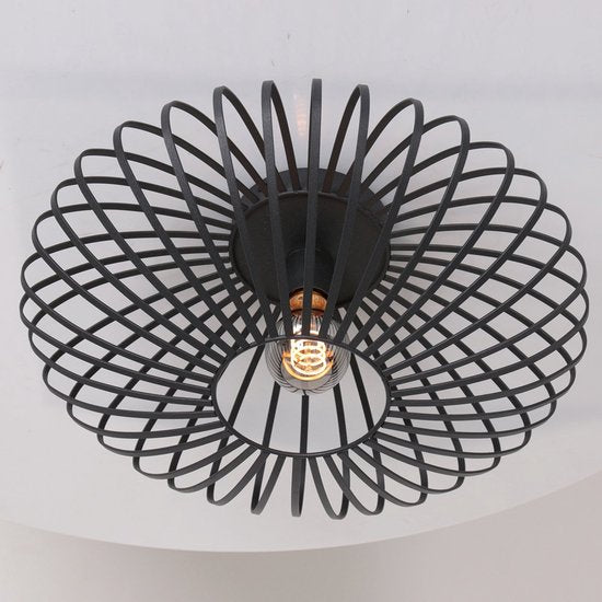 Steinhauer Dunbar AN plafondlamp 1-lichts 40cm