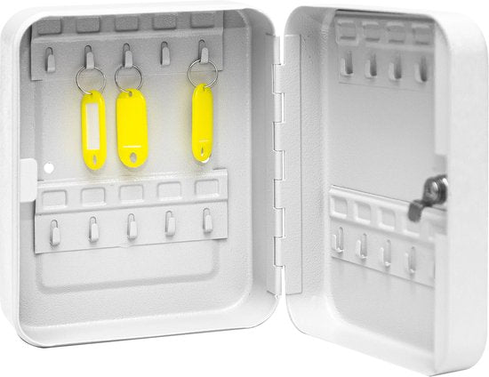 BRASQ Sleutelkast - 16x20x7,5 cm - Sleutelkluis - Sleutelbox - Met Cilinderslot - 20 haken voor sleutels - KC100 - Grijs