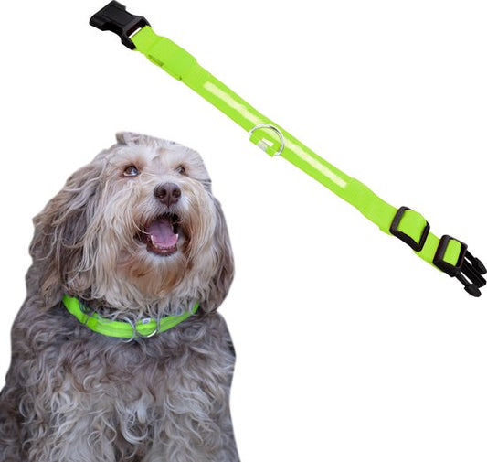 Dutchwide Lichtgevende Halsband Hond - Extra Sterk - L 41 cm tot 52 cm - Hondenhalsband - Klikhalsband - Verstelbaar - Reflecterend