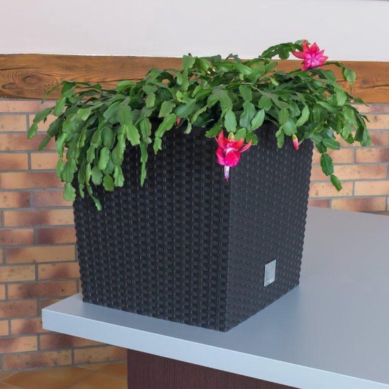 Prosperplast Bloempot/plantenpot Rato - rotan look - met binnenpot - antraciet - 32 x 32 x 33 cm - kunststof