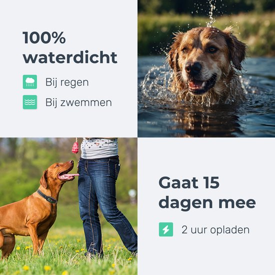 Dutchwide Anti-blafband Pro - 100% waterdicht - Trainingshalsband voor honden - Met anti blaf apparaat - Geschikt voor kleine en grote honden - Hondentraining hulpmiddel