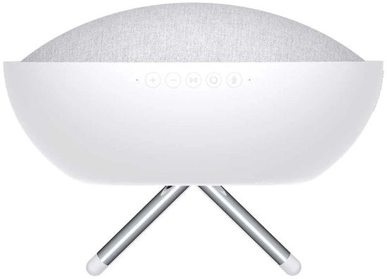 Defunc Home S Multiroom Wifi-luidspreker Zilver One Size / EU Plug 220V