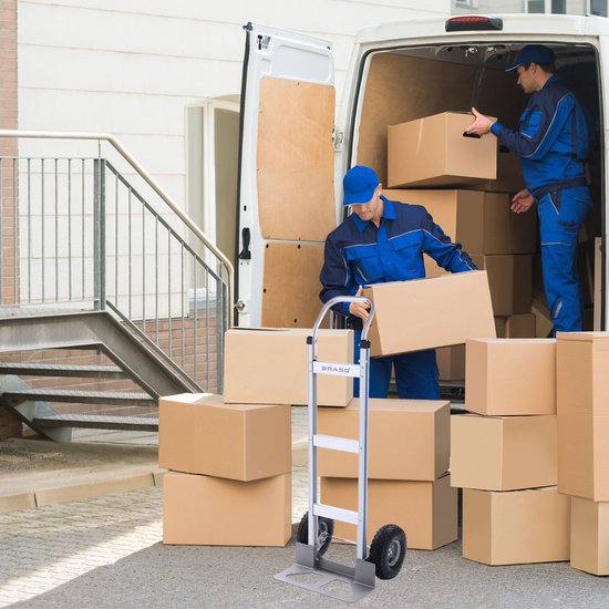 BRASQ Steekwagen Opvouwbaar Aluminium - Draagvermogen 250 KG - Transportwagen - Plateauwagen - Steekkar