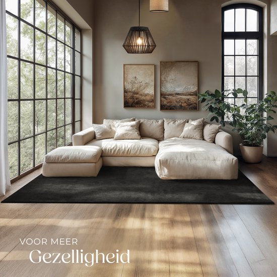 tectake® Kortpolig Vloerkleed - 160 x 230 cm - Zwart - 1630 g/m² Poolgewicht - Tapijt voor Woonkamer, Slaapkamer, Eetkamer - Onderhoudsvriendelijk en Wasbaar - Antislip Ondertapijt - Allergievriendelijk - Diverse maten en kleuren