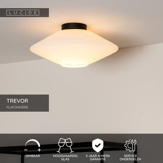 Lucide TREVOR - Plafonnière (Plafondlamp) - Ø 42 cm - 1xE27 - Opaal