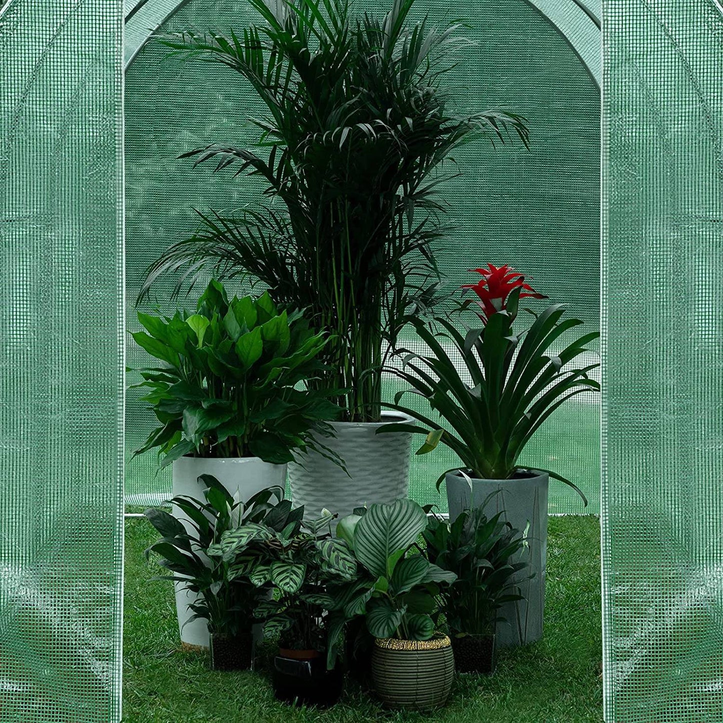 WOLTU Foliekas Groen - 300 x 200 x 200 cm - 6 m² - Met 6 Ramen