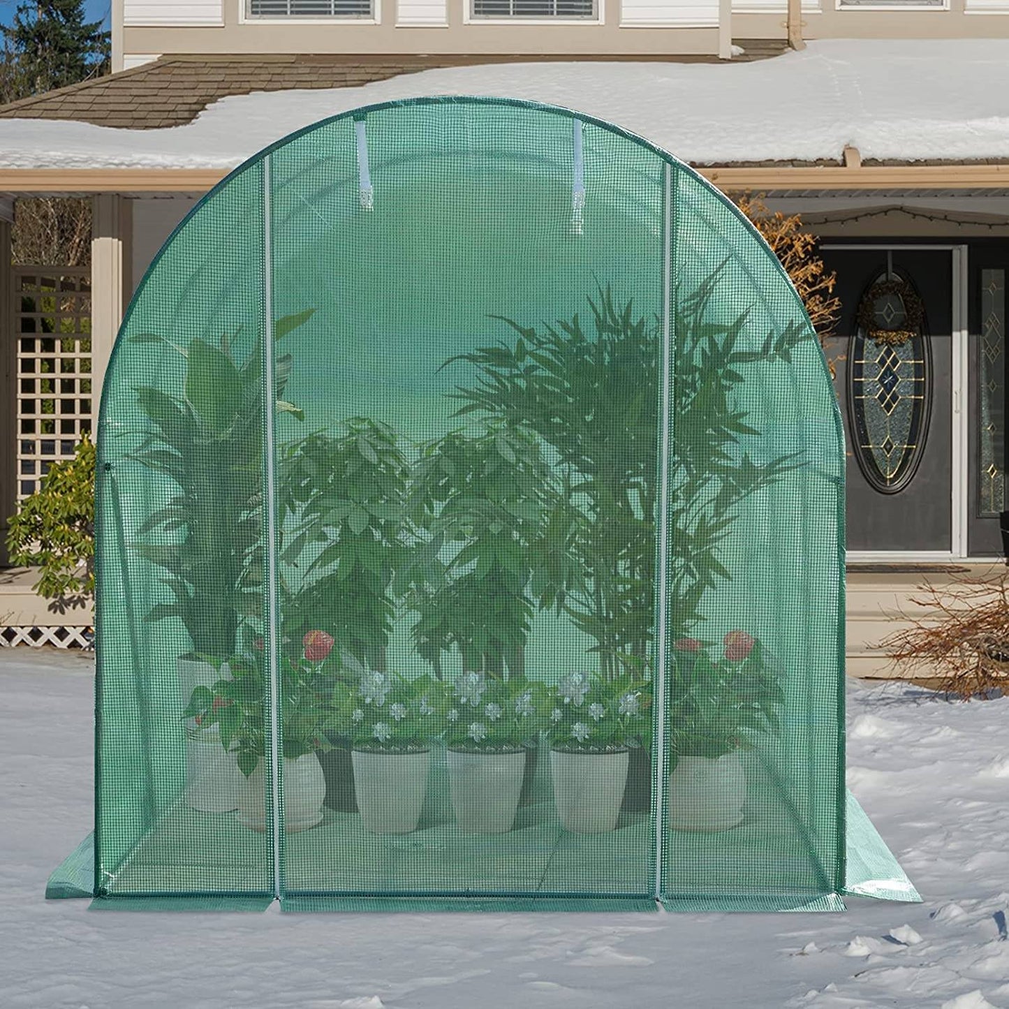WOLTU Foliekas Groen - 300 x 200 x 200 cm - 6 m² - Met 6 Ramen