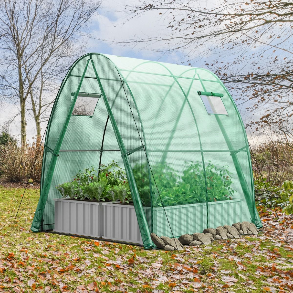 Coast Draagbare tunnelkas - 2 deuren met rits - 2 oprolbare horren - groen 181 x 181 x 200 cm