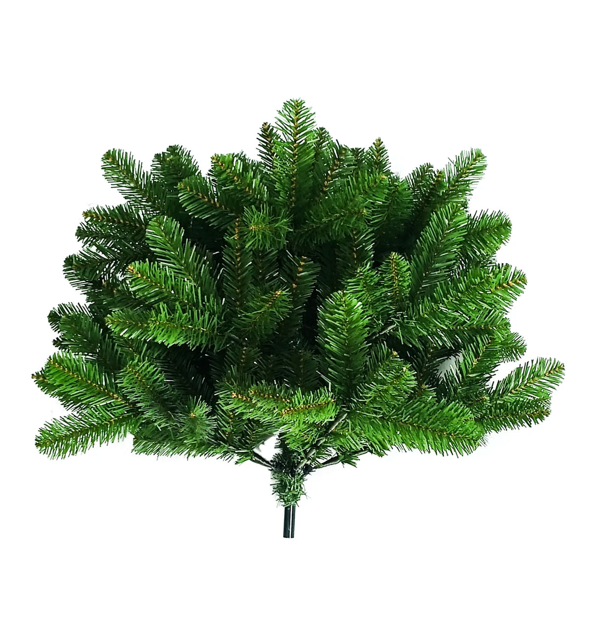 Daisy Darcy Kerstboom Mountain Pine - 183 cm - Diameter 101 cm - Groen