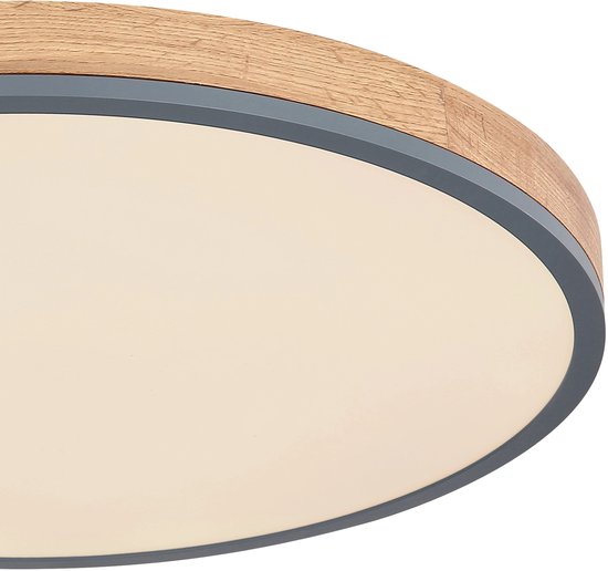 Globo plafonniere Doro - grijs - metaal - 60 cm - ingebouwde LED-module - 416080WD4R-CCT