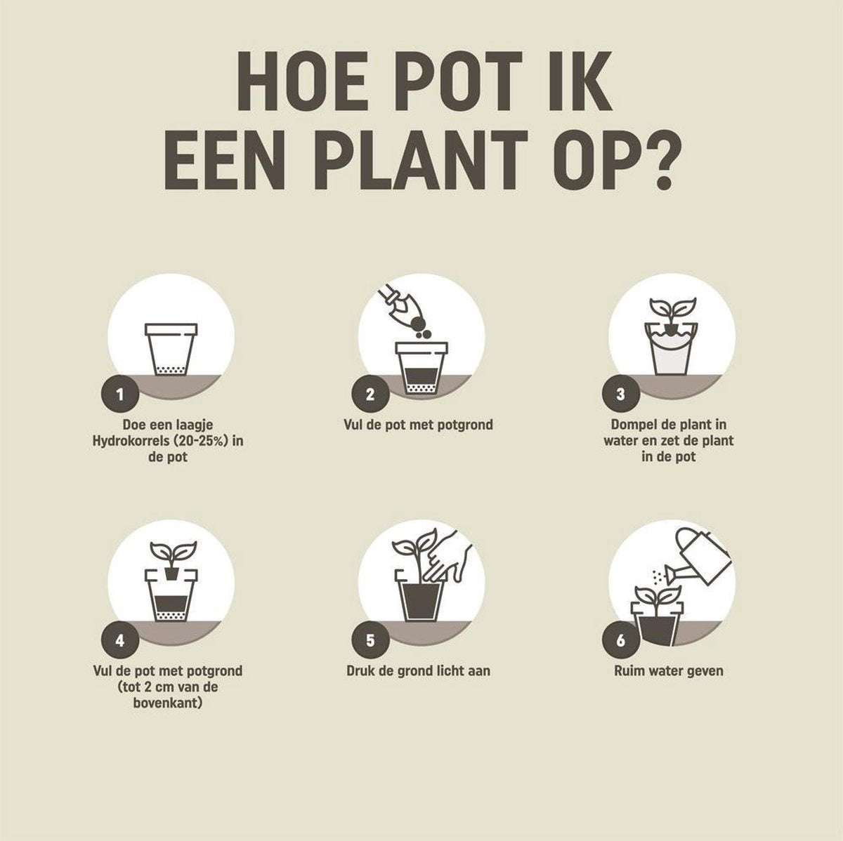 Pokon Hydrokorrels - 10l - Kleikorrels - Goed voor drainage