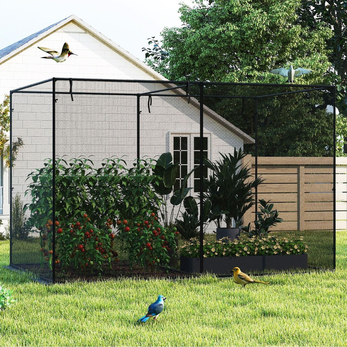 Coast Plantentent - Metalen frame - Insectengaas - Met draagtas - 310 x 200 x 200 cm - Zwart