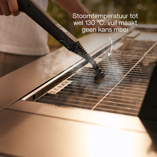 Techweise TS3 - Stoomreiniger - Reinigingsmachine - 2600W 4,2 Bar Stoomdruk - Natte & Droge Stoom - Voor vloer, badkamer, auto en meer - 5m Kabel - Binnen 1 minuut opgewarmd