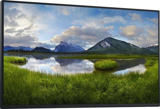 DELL - DELL-P2425HEWO - Computermonitor