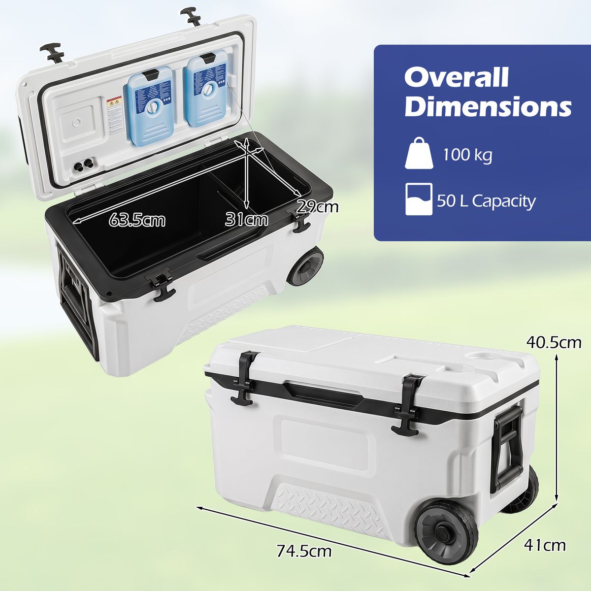 Coast Koelbox - met wieltjes en handgreep - afvoerstop - wit 50 L / maat M