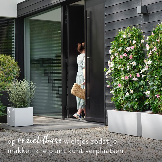 Elho Vivo Next Vierkant 40 - Plantenbak voor Binnen & Buiten - 100% Gerecycled Plastic - L 39.0 x H 37.9 cm - Wit