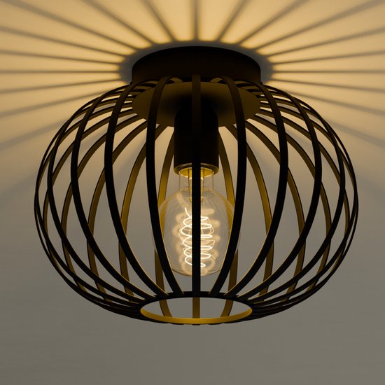 Nolt Plafondlamp - Plafonniere E27 Lamp - Industrieel - ⌀ 25cm - Zwart