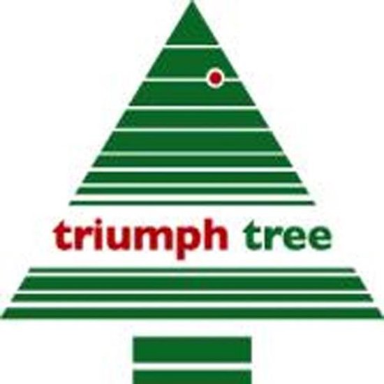 Triumph Tree Bristlecone Kunstkerstboom met LED Verlichting - 184 led lampen - PVC - Donkergroen - 119x185 cm