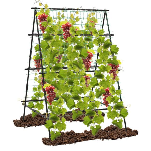 Coast Klimrek - A-Frame - Metaal - Tuinnet - Plantenclips - 130x105x151 cm - Zwart