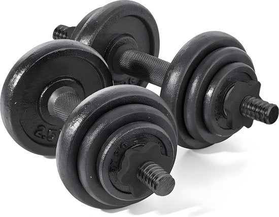 Fitby Dumbells 20KG - Dumbbells - Gewichten set - Verstelbare Dumbells - Halterset - Dumbell Set - Gietijzer - Inclusief Opbergkoffer