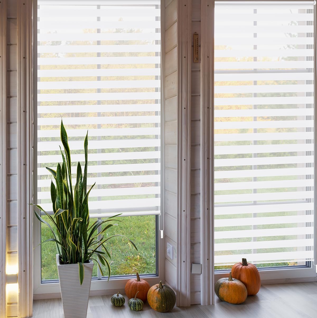 Sekey Duo Rolgordijn - Wit - 50 x 130 cm - Zonder Boren - Verstelbare Lichtinval - UV-bescherming - Kettingbediening