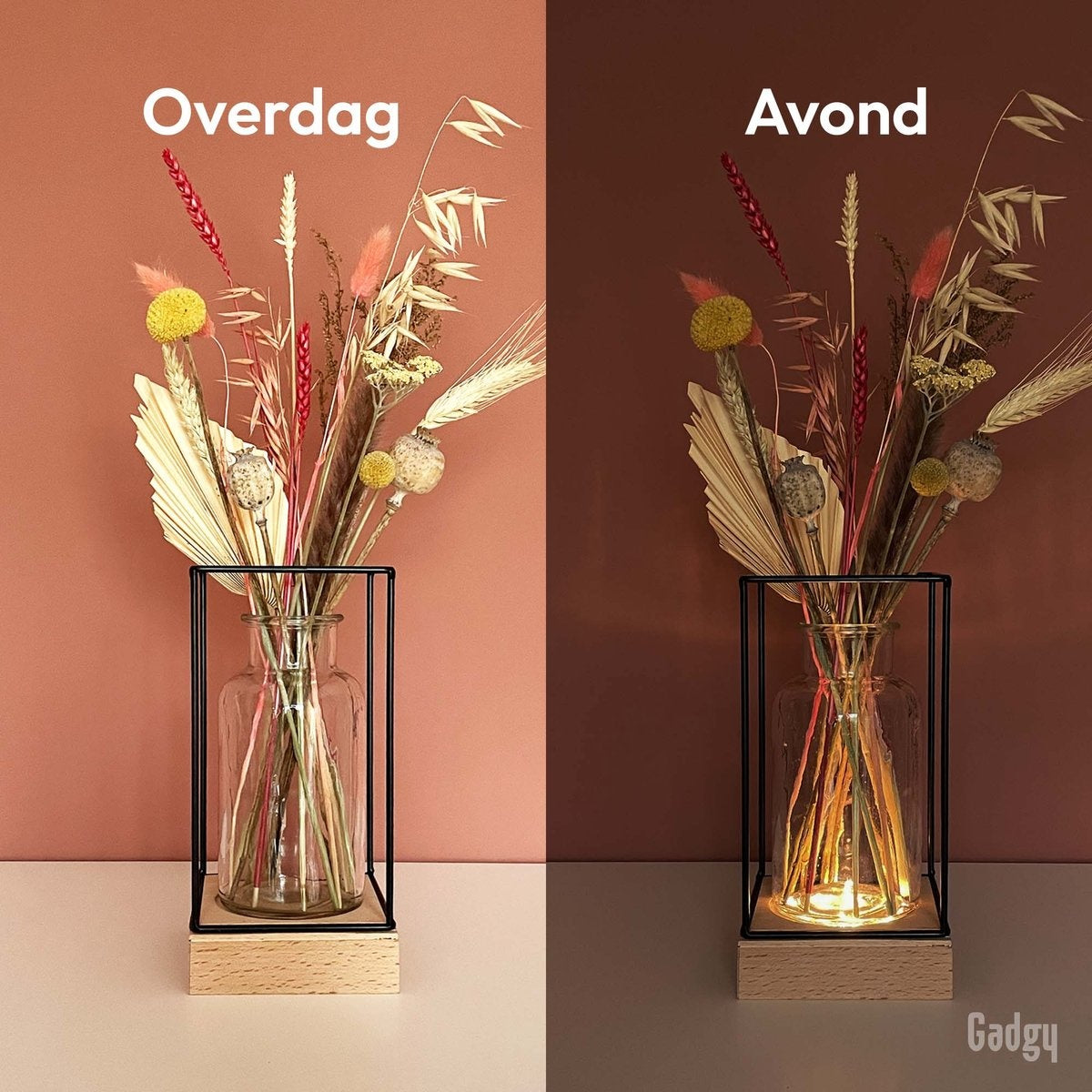 Gadgy Vaas met LED Verlichting - Vaaslamp - Glazen Vaas met Lamp - Moederdag Cadeautje - Hydroponie - Werkt op Batterijen – Tafellamp  - Ø11 cm